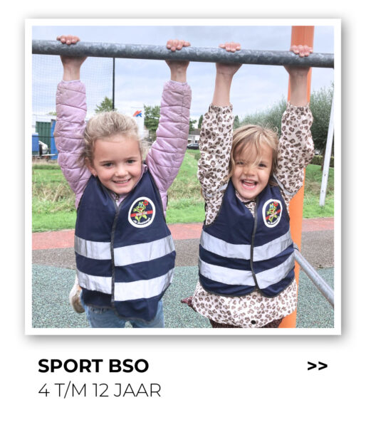 Sport BSO button homepage