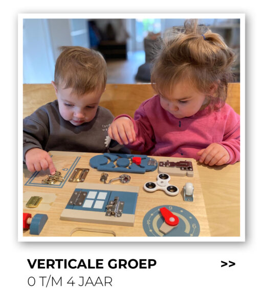 Verticale groep button homepage