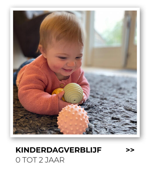 Kinderdagverblijf button homepage